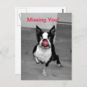 Carte Postale Vous avez manqué (Devant / Derrière)