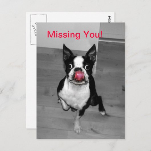 Carte Postale Vous avez manqué (Devant / Derrière)