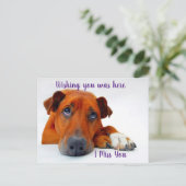 Carte Postale Vous avez manqué (Debout devant)