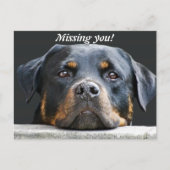 Carte Postale Vous avez manqué ! (Devant)