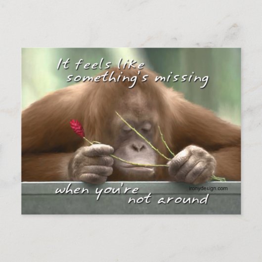 Carte Postale Vous avez manqué (Devant)