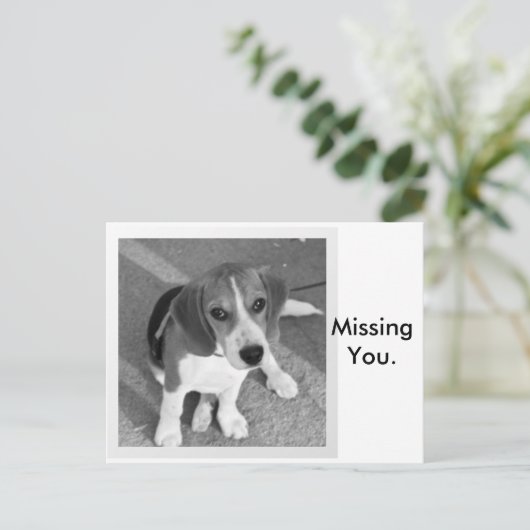 Carte Postale Vous avez manqué (Debout devant)