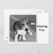 Carte Postale Vous avez manqué (Devant / Derrière)