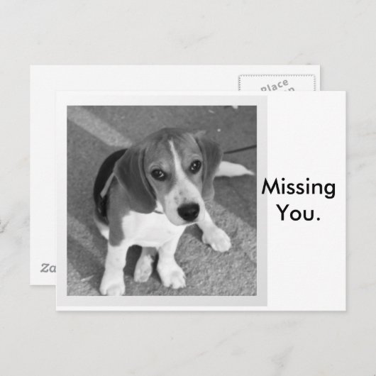 Carte Postale Vous avez manqué (Devant / Derrière)