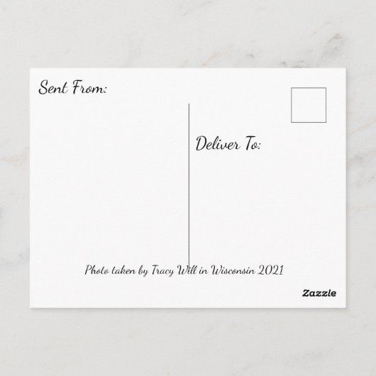 Carte Postale Vous avez manqué | Long Winding Road (Dos)