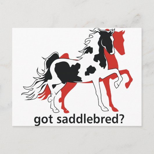 Carte Postale Vous avez Saddlebred ? (Devant)