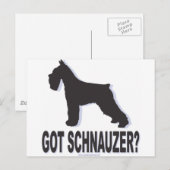 Carte Postale Vous avez Schnauzer ? (Devant / Derrière)