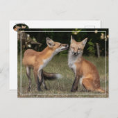 Carte Postale Vous Avez Une Menthe ? (Devant / Derrière)