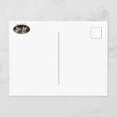 Carte Postale Vous Avez Une Menthe ? (Dos)