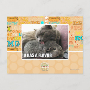 CARTE POSTALE VOUS AVEZ UNE SAVEUR