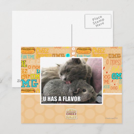 CARTE POSTALE VOUS AVEZ UNE SAVEUR (Devant / Derrière)