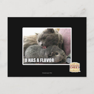 CARTE POSTALE VOUS AVEZ UNE SAVEUR