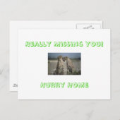 Carte Postale Vous Avez Vraiment Manqué ! Dépêche-toi de rentrer (Devant / Derrière)