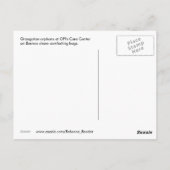 Carte Postale Vous et vos câlins me manquent (Dos)