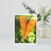 Carte Postale "Vous êtes aimés " (Debout devant)