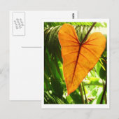 Carte Postale "Vous êtes aimés " (Devant / Derrière)