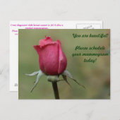 Carte Postale Vous êtes belle ! (Devant / Derrière)