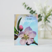 Carte Postale Vous êtes dans la Congrégation de l'Église de nos  (Debout devant)