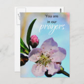 Carte Postale Vous êtes dans la Congrégation de l'Église de nos  (Devant / Derrière)