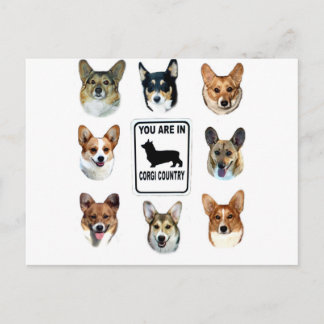 Carte Postale Vous êtes dans le pays de corgi