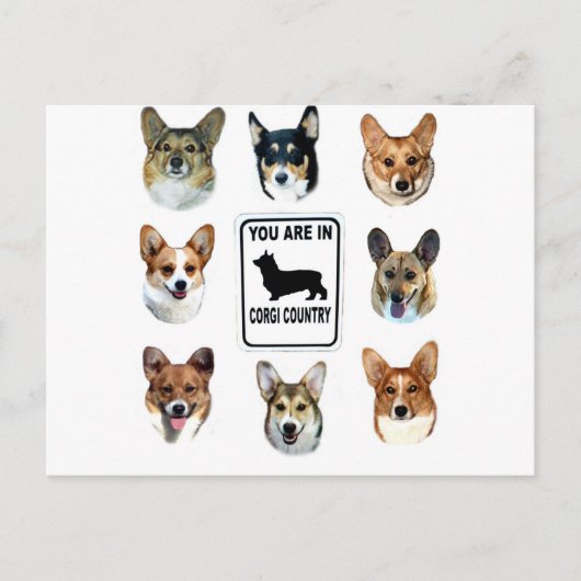Carte Postale Vous êtes dans le pays de corgi (Devant)