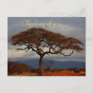 Carte Postale Vous êtes dans nos pensées Afrique