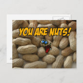 Carte Postale vous êtes dingues ! (Devant / Derrière)