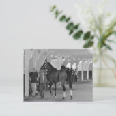 Carte Postale Vous êtes en train de me tuer par Adios Charlie (Debout devant)