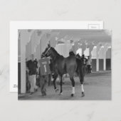 Carte Postale Vous êtes en train de me tuer par Adios Charlie (Devant / Derrière)