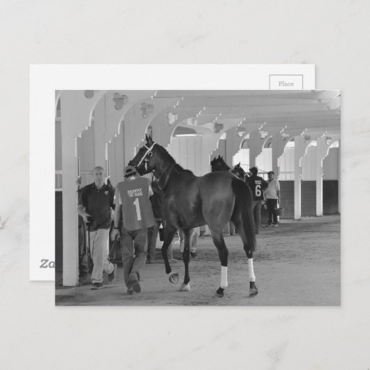 Carte Postale Vous êtes en train de me tuer par Adios Charlie (Devant / Derrière)