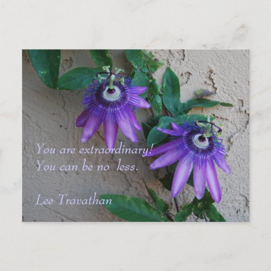 Carte Postale Vous êtes extraordinaire. Vous ne pouvez pas être (Devant)