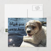 Carte postale 'Vous êtes ici souhaité' (Devant / Derrière)