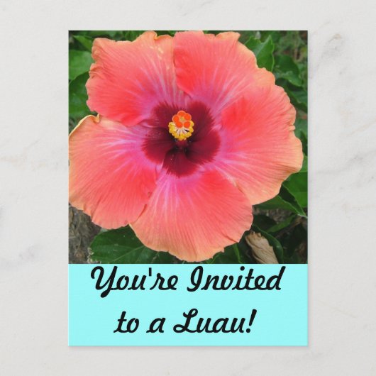 Carte Postale Vous êtes invité à Luau ! Invitation (Devant)
