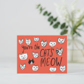 Carte Postale VOUS ÊTES LE CRÈME DE LA CRÈME Mignons Chatons Ca (Debout devant)
