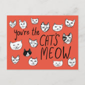 Carte Postale VOUS ÊTES LE CRÈME DE LA CRÈME Mignons Chatons Ca (Devant)