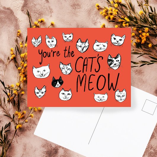Carte Postale VOUS ÊTES LE CRÈME DE LA CRÈME Mignons Chatons Ca