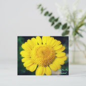 Carte Postale Vous Êtes Mon Soleil ! (Debout devant)