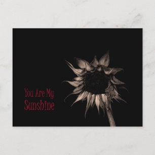 Carte Postale Vous Êtes Mon Sunshine Sunflower Cute Cool unique