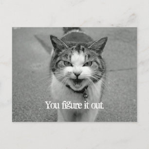 Carte Postale "Vous le comprenez" Crabby Cat