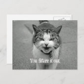 Carte Postale "Vous le comprenez" Crabby Cat (Devant / Derrière)