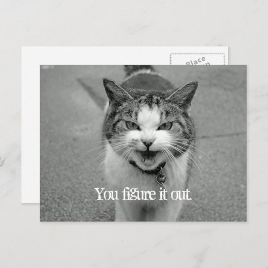 Carte Postale "Vous le comprenez" Crabby Cat (Devant / Derrière)