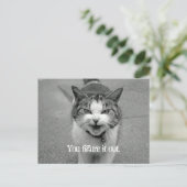 Carte Postale "Vous le comprenez" Crabby Cat (Debout devant)