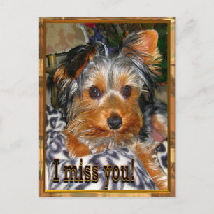 Carte Postale VOUS manquant