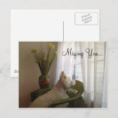 Carte Postale Vous Manquez... (Devant / Derrière)