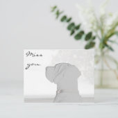 Carte Postale Vous manquez. (Debout devant)