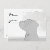 Carte Postale Vous manquez. (Devant / Derrière)