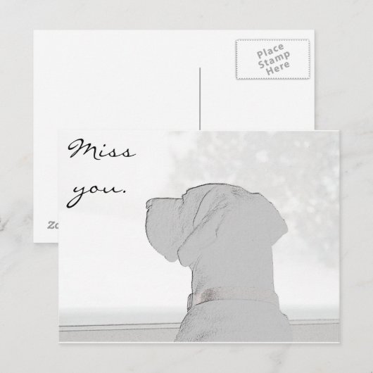 Carte Postale Vous manquez. (Devant / Derrière)