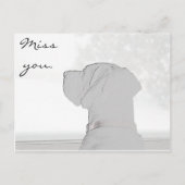 Carte Postale Vous manquez. (Devant)