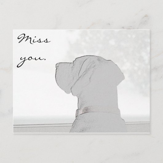 Carte Postale Vous manquez. (Devant)