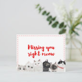 Carte Postale Vous Manquez À Droite Meow (Debout devant)